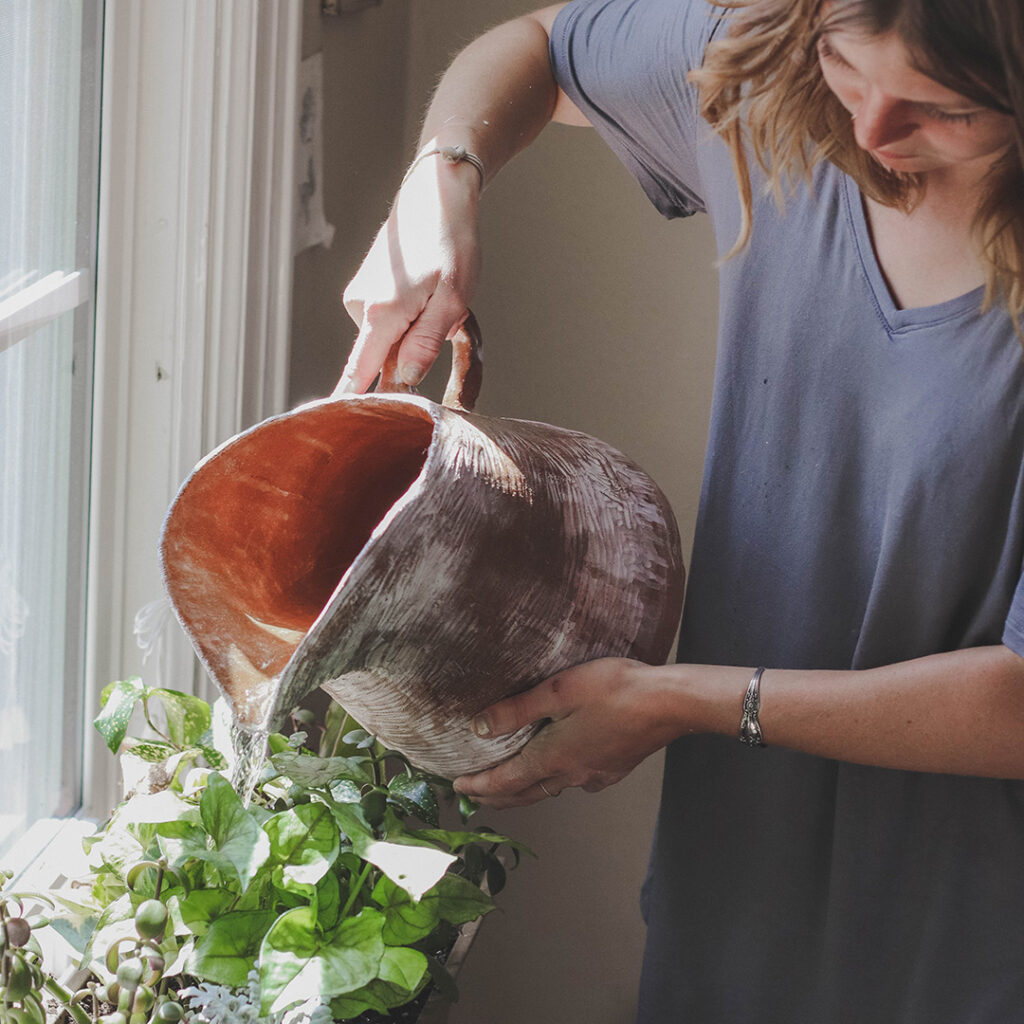 3 Plants to Help Your Home’s IAQ