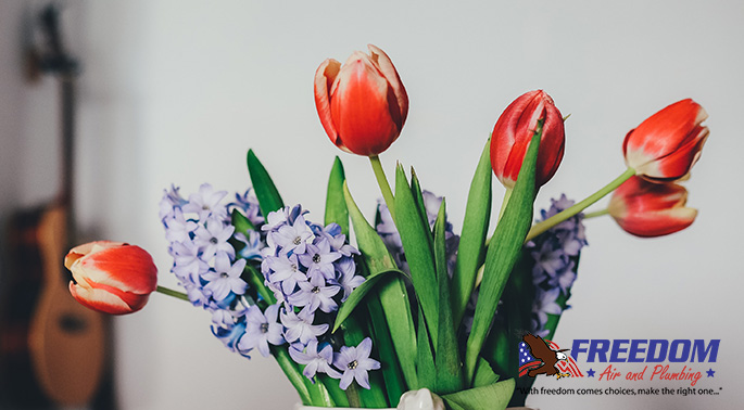 4 Healthy Hacks for Cleaner Air